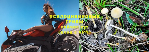 амф Алексеевка