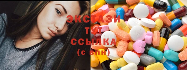 прущие грибы Мурманск